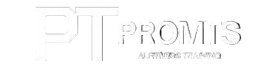 PT Prompts